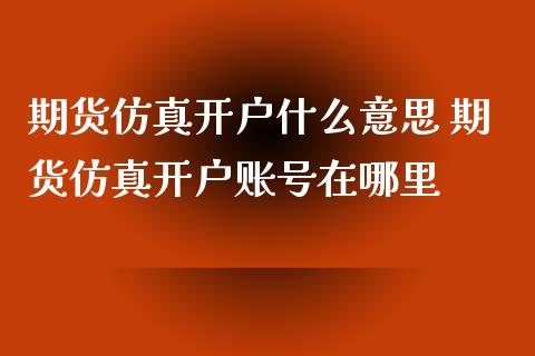期货仿真开户什么意思 期货仿真开户账号在哪里_https://www.xyskdbj.com_期货行情_第1张