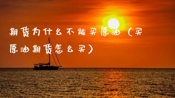 期货为什么不能买原油（买原油期货怎么买）_https://www.xyskdbj.com_期货手续费_第1张