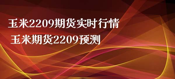 玉米2209期货实时行情 玉米期货2209预测_https://www.xyskdbj.com_原油直播_第1张
