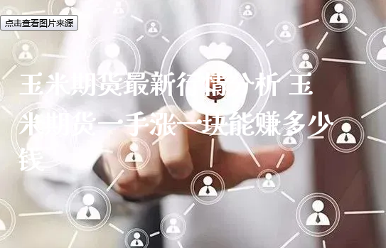 玉米期货最新行情分析 玉米期货一手涨一块能赚多少钱_https://www.xyskdbj.com_期货手续费_第1张