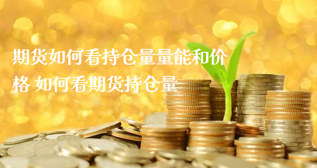 期货如何看持仓量量能和价格 如何看期货持仓量_https://www.xyskdbj.com_原油行情_第1张