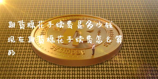 期货棉花手续费是多少钱 现在期货棉花手续费怎么算的_https://www.xyskdbj.com_期货手续费_第1张
