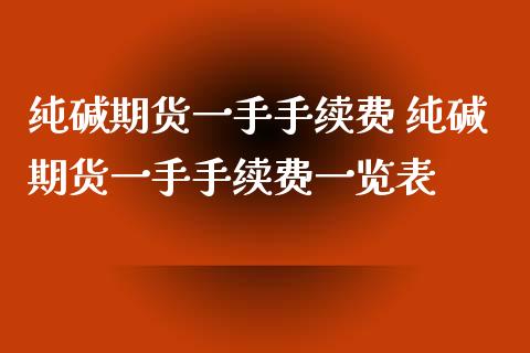 纯碱期货一手手续费 纯碱期货一手手续费一览表_https://www.xyskdbj.com_期货学院_第1张