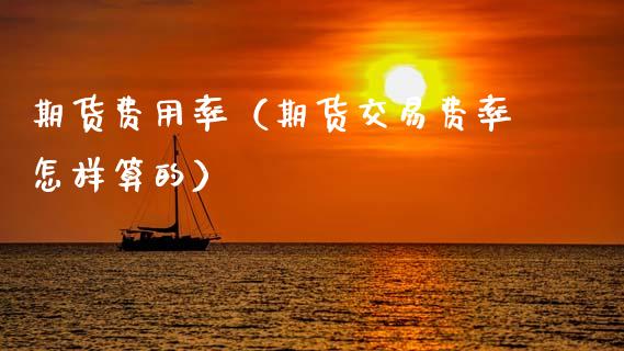 期货费用率（期货交易费率怎样算的）_https://www.xyskdbj.com_期货学院_第1张