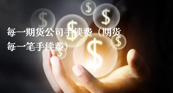 每一期货公司手续费（期货每一笔手续费）_https://www.xyskdbj.com_期货学院_第1张