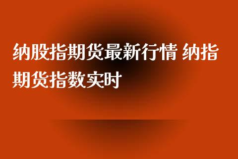 纳股指期货最新行情 纳指期货指数实时_https://www.xyskdbj.com_期货学院_第1张