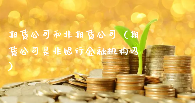 期货公司和非期货公司（期货公司是非银行金融机构吗）_https://www.xyskdbj.com_期货行情_第1张