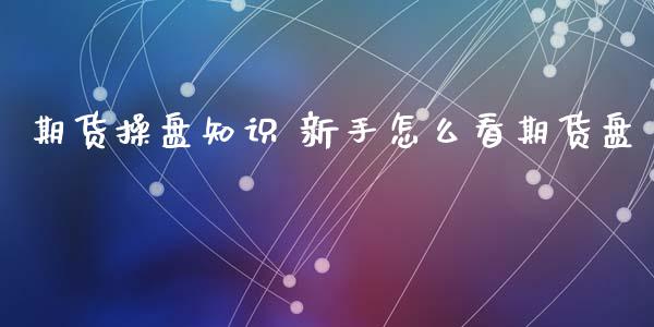 期货操盘知识 新手怎么看期货盘_https://www.xyskdbj.com_期货平台_第1张