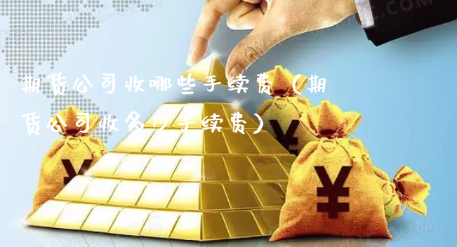 期货公司收哪些手续费（期货公司收多少手续费）_https://www.xyskdbj.com_期货行情_第1张