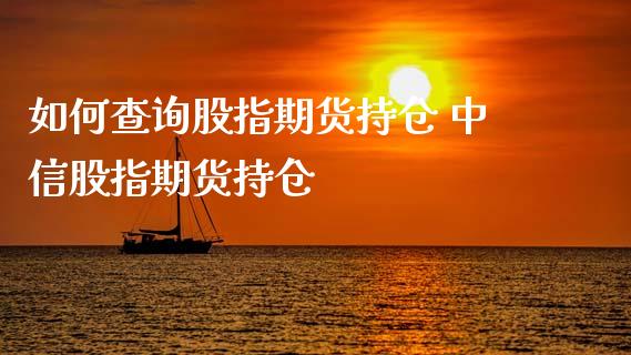 如何查询股指期货持仓 中信股指期货持仓_https://www.xyskdbj.com_期货手续费_第1张