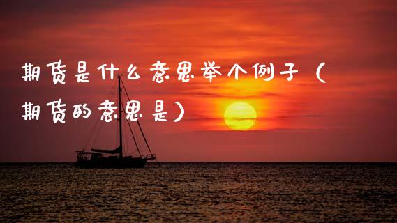 期货是什么意思举个例子（期货的意思是）_https://www.xyskdbj.com_原油直播_第1张