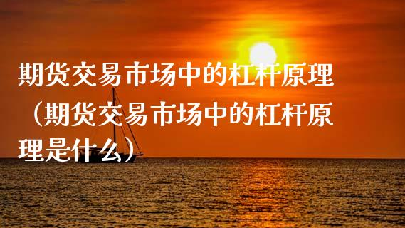 期货交易市场中的杠杆原理（期货交易市场中的杠杆原理是什么）_https://www.xyskdbj.com_期货手续费_第1张