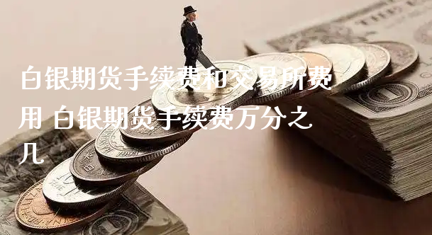 白银期货手续费和交易所费用 白银期货手续费万分之几_https://www.xyskdbj.com_原油直播_第1张