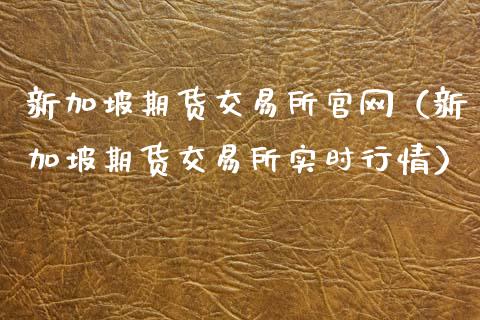 新加坡期货交易所官网（新加坡期货交易所实时行情）_https://www.xyskdbj.com_期货学院_第1张