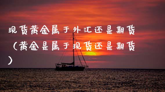 现货黄金属于外汇还是期货（黄金是属于现货还是期货）_https://www.xyskdbj.com_期货手续费_第1张