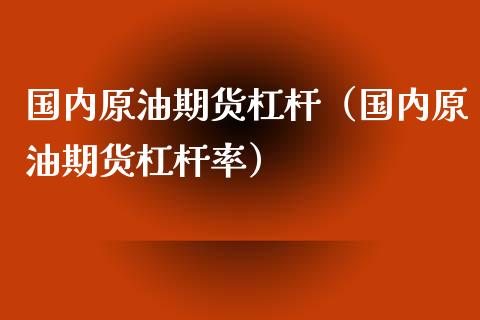 国内原油期货杠杆（国内原油期货杠杆率）_https://www.xyskdbj.com_期货手续费_第1张