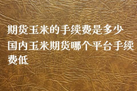 期货玉米的手续费是多少 国内玉米期货哪个平台手续费低_https://www.xyskdbj.com_原油直播_第1张