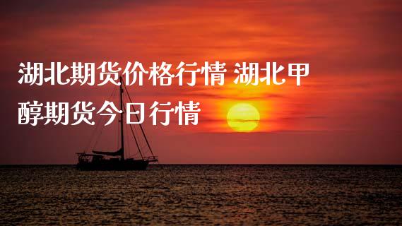 湖北期货价格行情 湖北甲醇期货今日行情_https://www.xyskdbj.com_期货行情_第1张