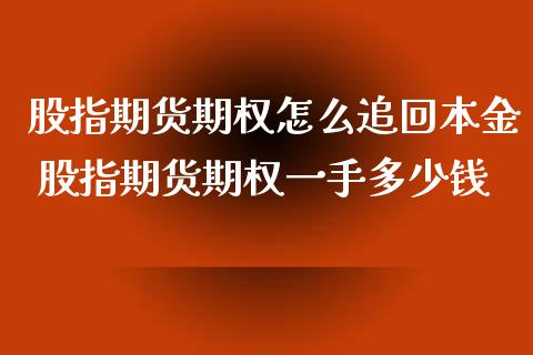 股指期货期权怎么追回本金 股指期货期权一手多少钱_https://www.xyskdbj.com_期货学院_第1张