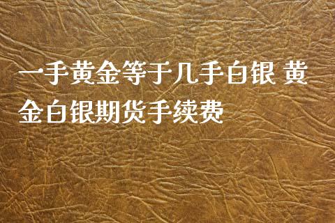 一手黄金等于几手白银 黄金白银期货手续费_https://www.xyskdbj.com_期货学院_第1张
