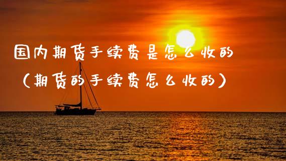 国内期货手续费是怎么收的（期货的手续费怎么收的）_https://www.xyskdbj.com_期货学院_第1张