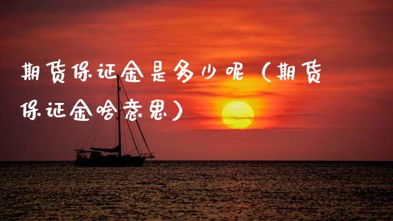 期货保证金是多少呢（期货保证金啥意思）_https://www.xyskdbj.com_期货平台_第1张