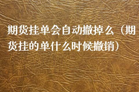 期货挂单会自动撤掉么（期货挂的单什么时候撤销）_https://www.xyskdbj.com_期货学院_第1张