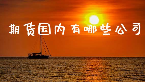 期货国内有哪些公司_https://www.xyskdbj.com_期货平台_第1张