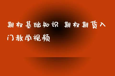 期权基础知识 期权期货入门教学视频_https://www.xyskdbj.com_期货行情_第1张