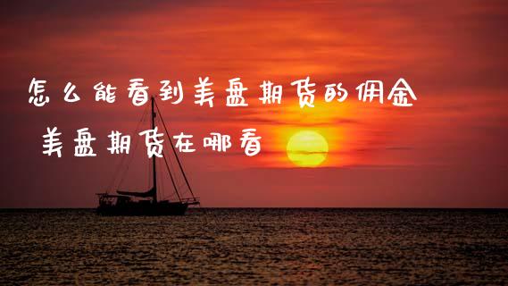 怎么能看到美盘期货的佣金 美盘期货在哪看_https://www.xyskdbj.com_期货手续费_第1张
