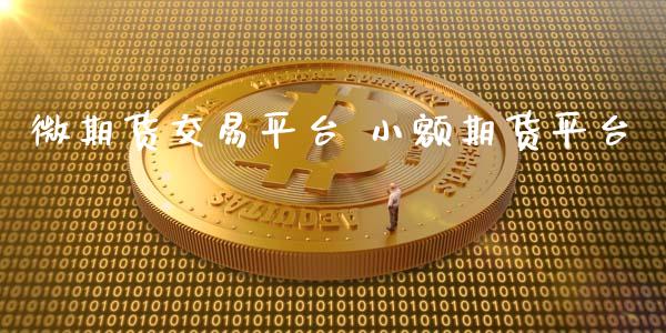 微期货交易平台 小额期货平台_https://www.xyskdbj.com_期货学院_第1张