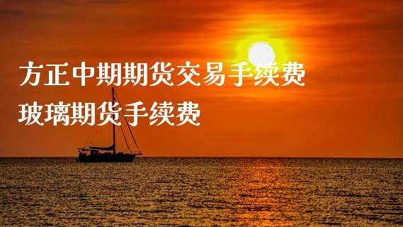方正中期期货交易手续费 玻璃期货手续费_https://www.xyskdbj.com_期货平台_第1张