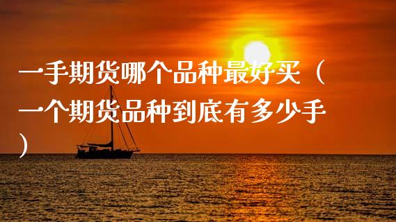 一手期货哪个品种最好买（一个期货品种到底有多少手）_https://www.xyskdbj.com_期货行情_第1张