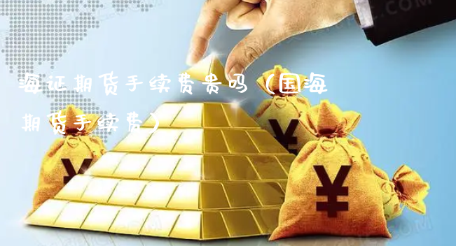海证期货手续费贵吗（国海期货手续费）_https://www.xyskdbj.com_原油行情_第1张