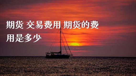 期货 交易费用 期货的费用是多少_https://www.xyskdbj.com_期货手续费_第1张
