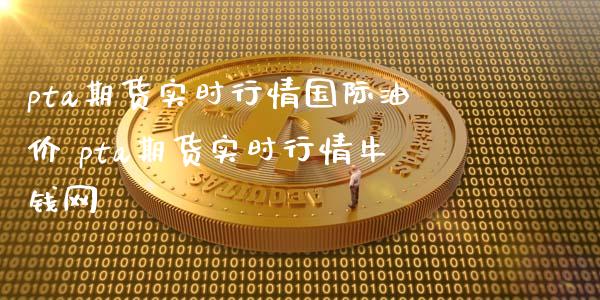 pta期货实时行情国际油价 pta期货实时行情牛钱网_https://www.xyskdbj.com_期货学院_第1张