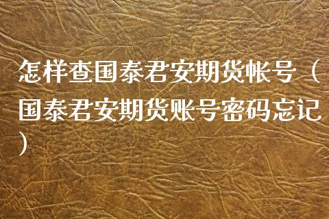 怎样查国泰君安期货帐号（国泰君安期货账号密码忘记）_https://www.xyskdbj.com_原油直播_第1张