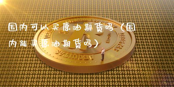 国内可以买原油期货吗（国内能买原油期货吗）_https://www.xyskdbj.com_期货学院_第1张