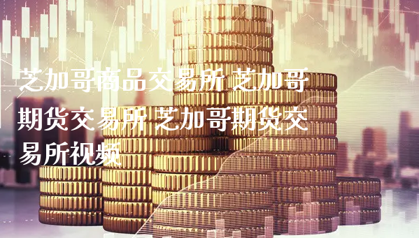 芝加哥商品交易所 芝加哥期货交易所 芝加哥期货交易所视频_https://www.xyskdbj.com_期货学院_第1张