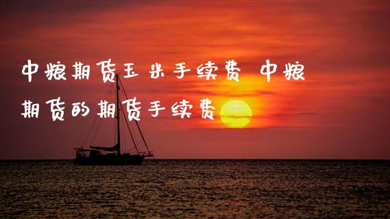 中粮期货玉米手续费 中粮期货的期货手续费_https://www.xyskdbj.com_期货学院_第1张