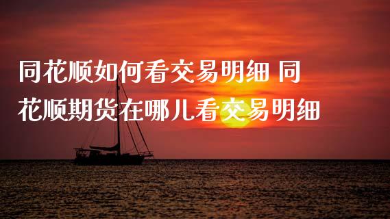 同花顺如何看交易明细 同花顺期货在哪儿看交易明细_https://www.xyskdbj.com_期货学院_第1张