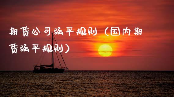 期货公司强平规则（国内期货强平规则）_https://www.xyskdbj.com_期货学院_第1张
