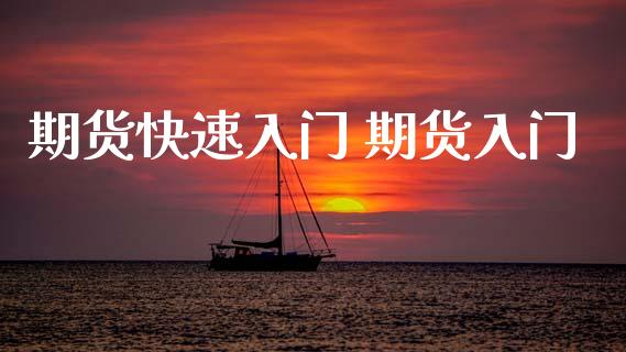 期货快速入门 期货入门_https://www.xyskdbj.com_期货行情_第1张