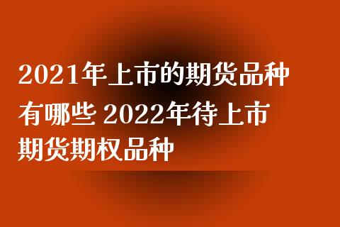2021年上市的期货品种有哪些 2022年待上市期货期权品种_https://www.xyskdbj.com_期货学院_第1张
