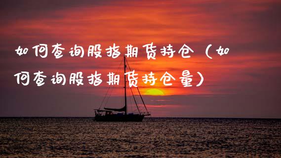 如何查询股指期货持仓（如何查询股指期货持仓量）_https://www.xyskdbj.com_期货行情_第1张